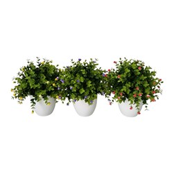 Floral Bonsai 30cm 3 Assorted Floral Bonsai 30cm 3 Assorted