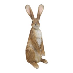 Garden Rabbit 60cm