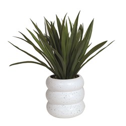 Grass Plant in Ceramic Bubble Pot 38cm Grass Plant in Ceramic Bubble Pot 38cm