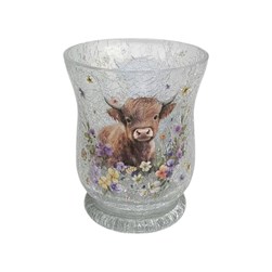 Highland Cow Hurricane 11cm