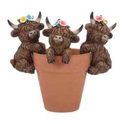 Highland Cow Pot Hangers 3Asst
