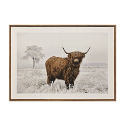 Highland Cow Print 50x70cm Highland Cow Print 50x70cm