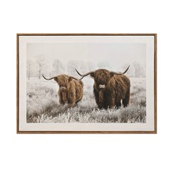 Highland Cow Print 50x70cm Highland Cow Print 50x70cm