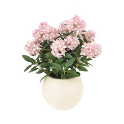 Hydrangea Pot 71cm Pink Hydrangea Pot 71cm Pink