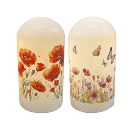 LED Floral Dome 20cm 2 Assorted
