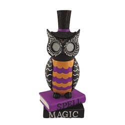 LED Moving Eyes Owl Wizard On Books 45cm LED Moving Eyes Owl Wizard On Books 45cm