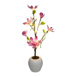 LED(30L) Pk Magnolia Tree 55cm