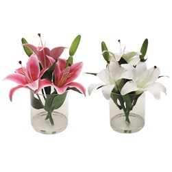 Lily Vase 20x23cm 2 Assorted Lily Vase 20x23cm 2 Assorted