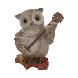 Owl Banjoist 12x14cm