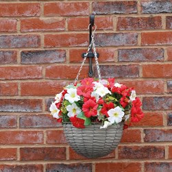 Petunia Hanging Basket Red and White 30x35cm Petunia Hanging Basket Red and White 30x35cm
