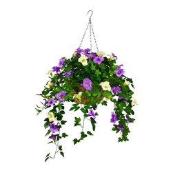 Petunia Hg Basket Pu/Wh 85cm