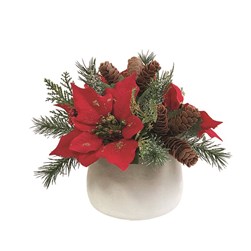 Poinsettia Floral Pot 20cm