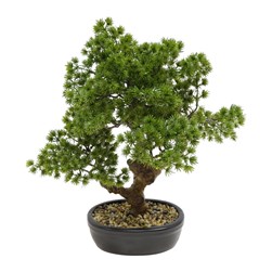 Potted Bonsai 43cm