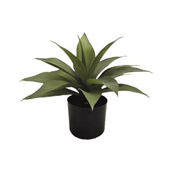 Potted Palm Plant 30cm Potted Palm Plant 30cm
