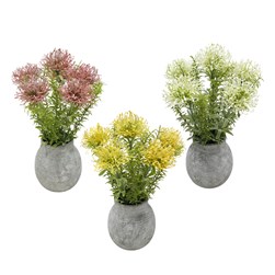 Potted Spiraea 39cm 3 Asst