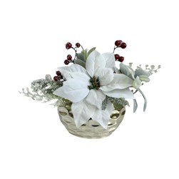 Potted White Poinsettia 28cm Potted White Poinsettia 28cm