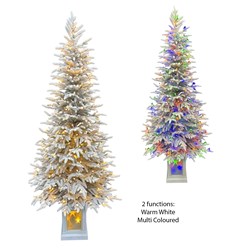 Pre Lit(150L)150cm White Tree