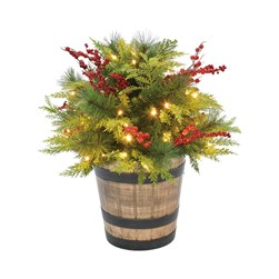 Pre Lit (50L) 60cm Potted Tree
