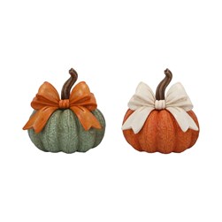 Pumpkin 14cm 2 Assorted Colours