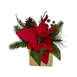 Red Poinsettia Square Pot 27cm