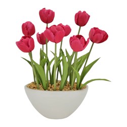 Red Tulip Pot 33cm
