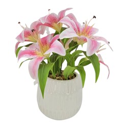 Tiger Lily Pink 43cm