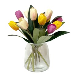 Tulip Display Vase 27cm Tulip Display Vase 27cm