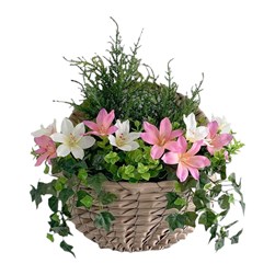 Wall Basket Pink 33cm