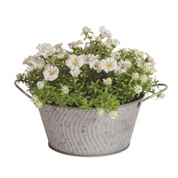 White Floral Tin Pot 19cm White Floral Tin Pot 19cm