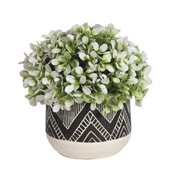 White Leafed Plant in Monochrome Pot 26cm White Leafed Plant in Monochrome Pot 26cm