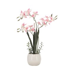 White & Pink Orchid Pot 50cm White & Pink Orchid Pot 50cm
