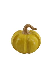 Yellow Pumpkin 14cm Yellow Pumpkin 14cm