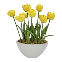 Yellow Tulip Pot 33cm