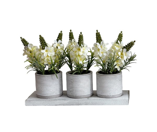Trio Lavender Pots 22cm White Trio Lavender Pots 22cm White