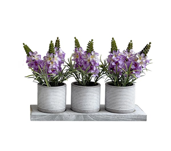 Trio Lavender Pots 22cm Trio Lavender Pots 22cm