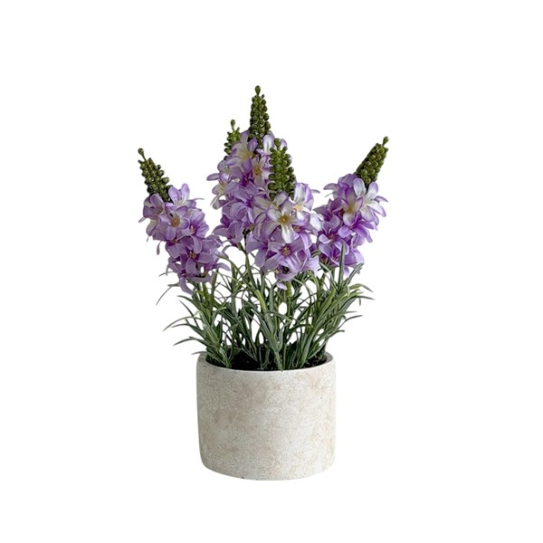 Lavender Pot 28cm Lavender Pot 28cm