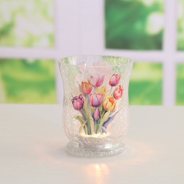 Tulip Hurricane 11cm Tulip Hurricane 11cm