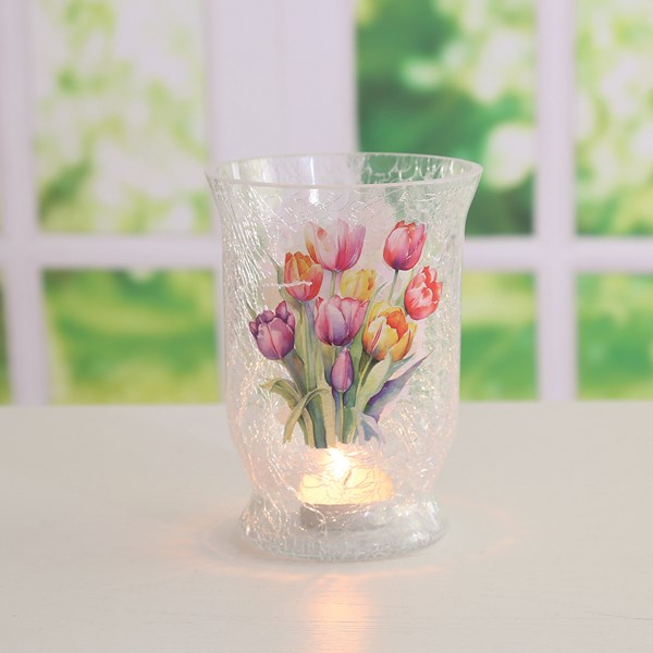 Tulip Hurricane 15cm Tulip Hurricane 15cm