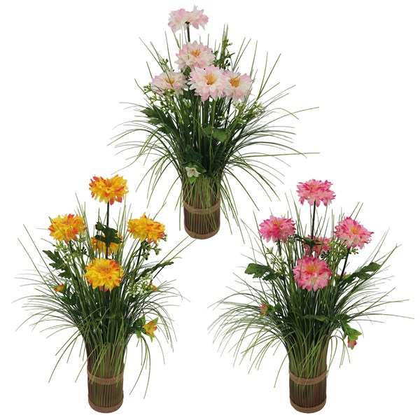 Dahlia Mix Grass Bundle 45cm 3 Assorted Dahlia Mix Grass Bundle 45cm 3 Assorted