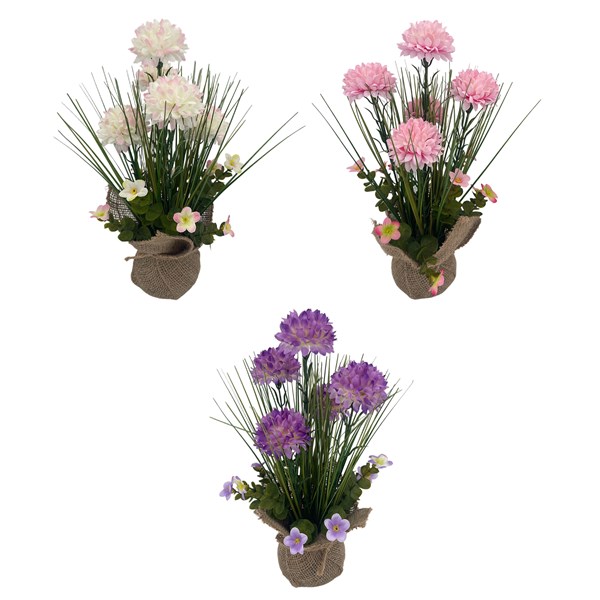 Scabiosa Hessian Pot 36cm 3 Assorted Scabiosa Hessian Pot 36cm 3 Assorted