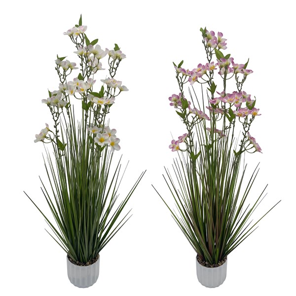 Pear Blossom 110cm 2 Assorted Pear Blossom 110cm 2 Assorted