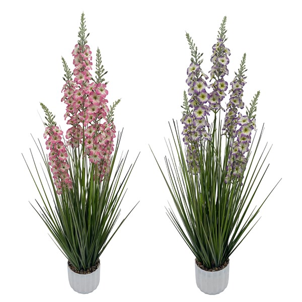 Delphinium 110cm 2 Assorted Delphinium 110cm 2 Assorted