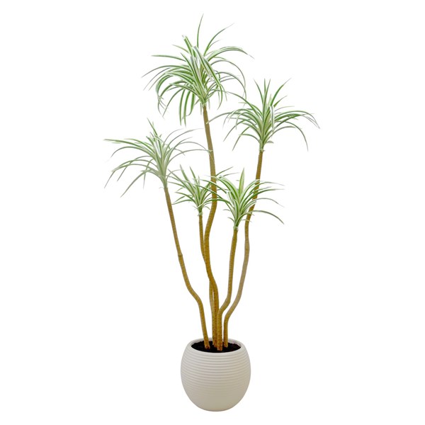 Dracena 118cm Dracena 118cm