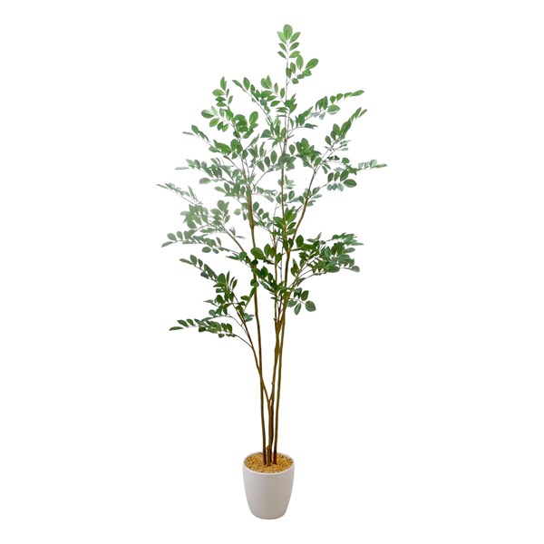 Ficus Tree 150cm Ficus Tree 150cm