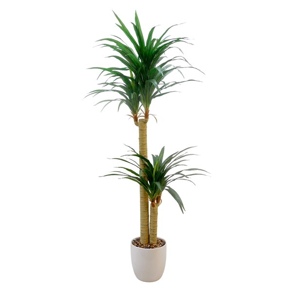Yukka 150cm Yukka 150cm