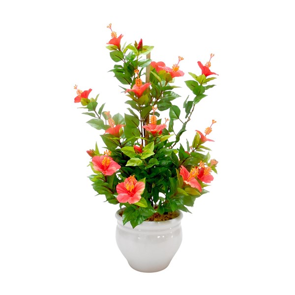 Hibiscus Ceramic Pot 50cm Hibiscus Ceramic Pot 50cm