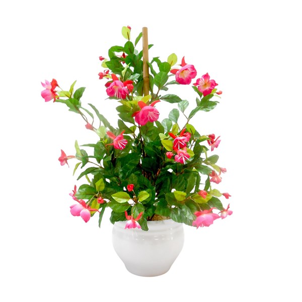 Fuchsia Ceramic Pot 50cm Fuchsia Ceramic Pot 50cm