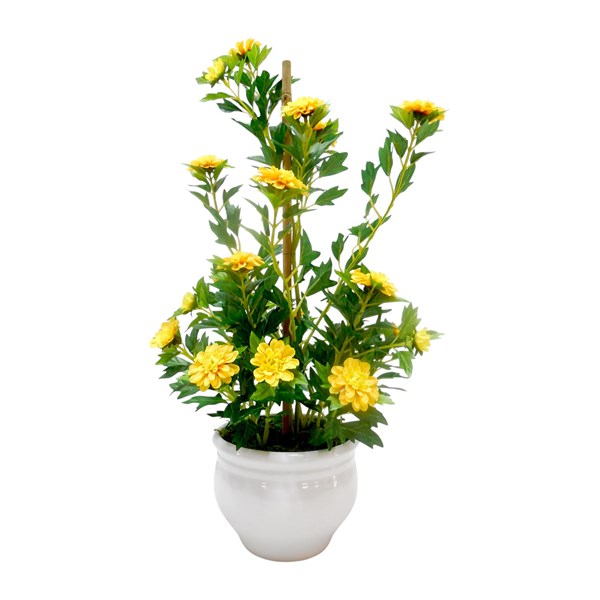Zinnia Ceramic Pot 50cm Zinnia Ceramic Pot 50cm
