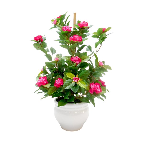 Rose Ceramic Pot 50cm Rose Ceramic Pot 50cm