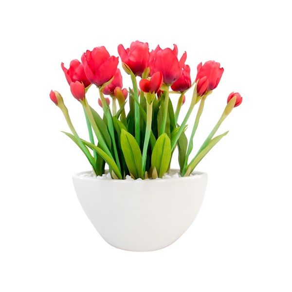 Red Tulip Ceramic Pot 32cm Red Tulip Ceramic Pot 32cm